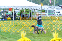 20230908-DSC06198