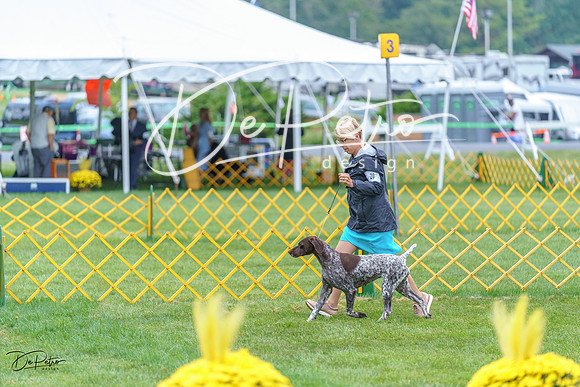 20230908-DSC06198