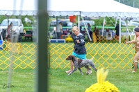 20230908-DSC06204