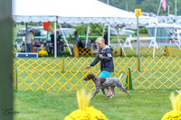 20230908-DSC06200