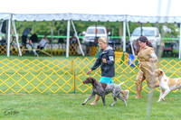 20230908-DSC06209