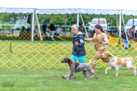 20230908-DSC06212
