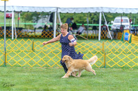 20230908-DSC06215