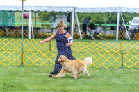 20230908-DSC06217