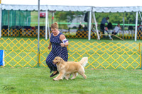 20230908-DSC06219