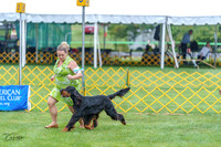 20230908-DSC06227