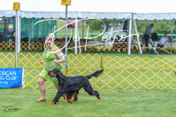 20230908-DSC06227