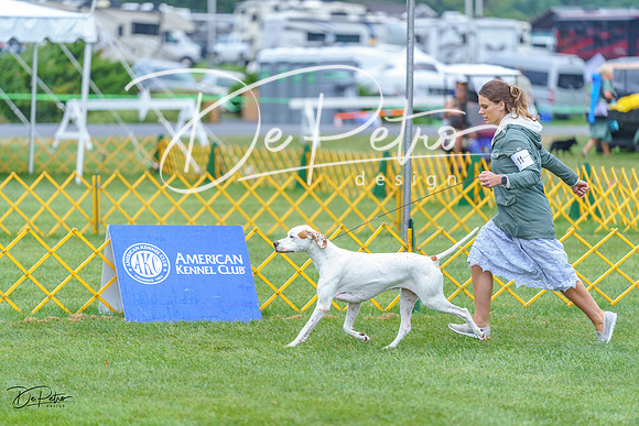 20230908-DSC06274