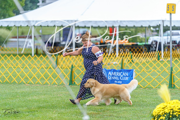 20230908-DSC06333