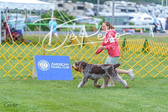 20230908-DSC06386
