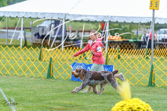 20230908-DSC06395
