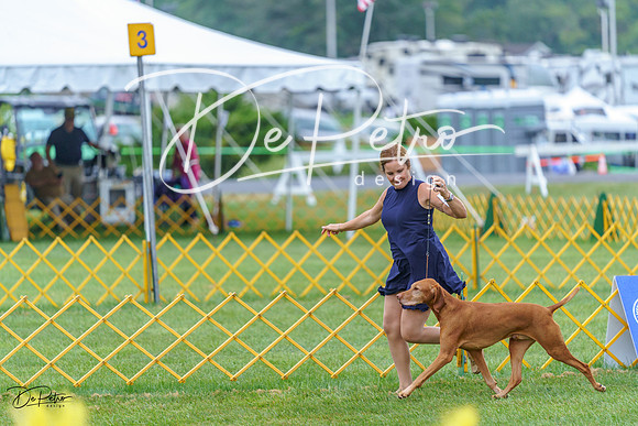 20230908-DSC06449