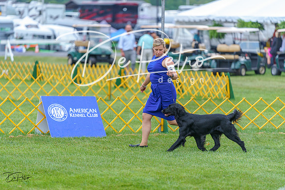 20230908-DSC06493