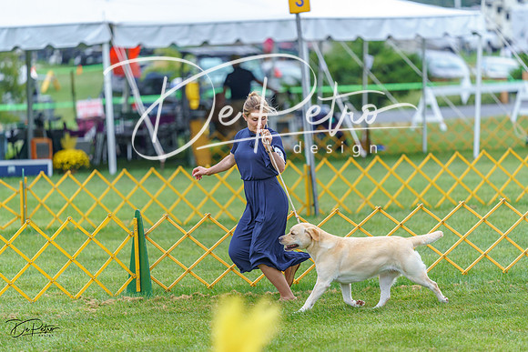20230908-DSC06515