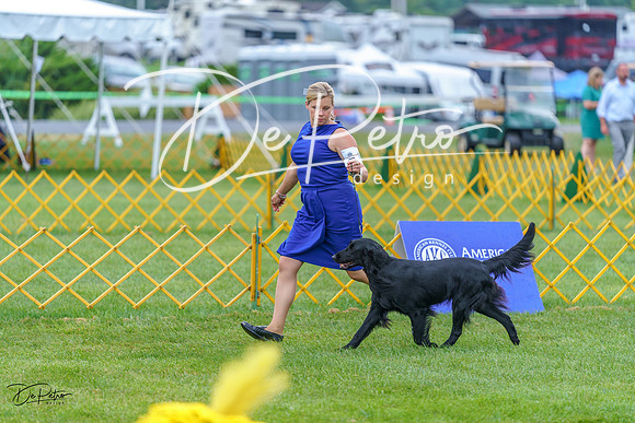 20230908-DSC06500