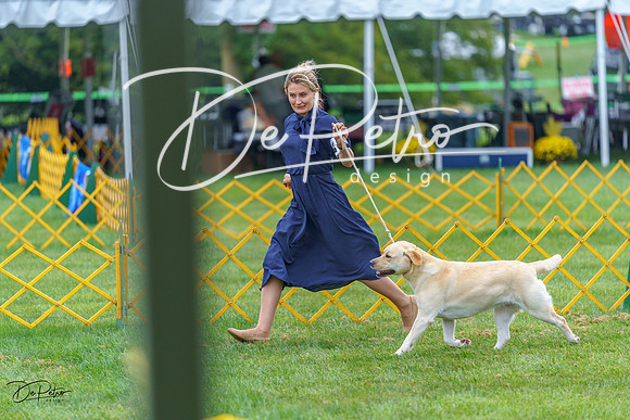 20230908-DSC06524