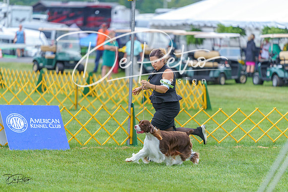 20230908-DSC06587