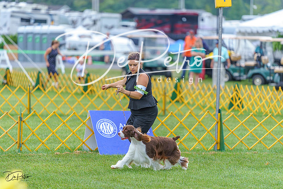 20230908-DSC06591