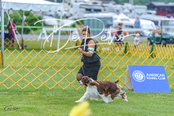 20230908-DSC06595