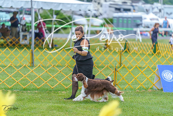 20230908-DSC06597