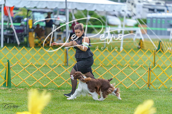20230908-DSC06599