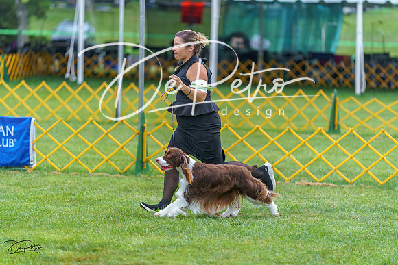 20230908-DSC06605