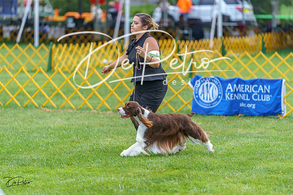 20230908-DSC06613