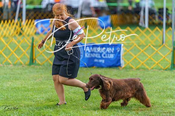 20230908-DSC06621