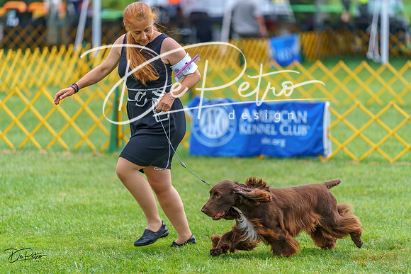 20230908-DSC06622