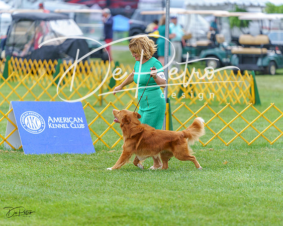 20230908-DSC06632