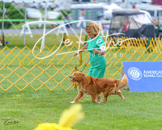 20230908-DSC06638