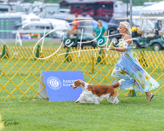 20230908-DSC06664