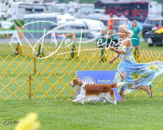 20230908-DSC06666