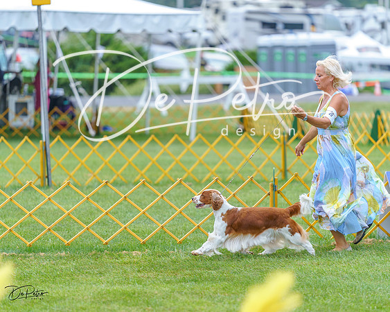 20230908-DSC06670