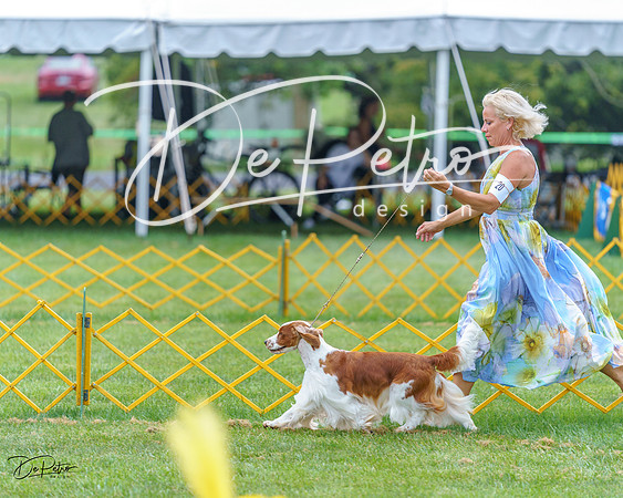 20230908-DSC06690