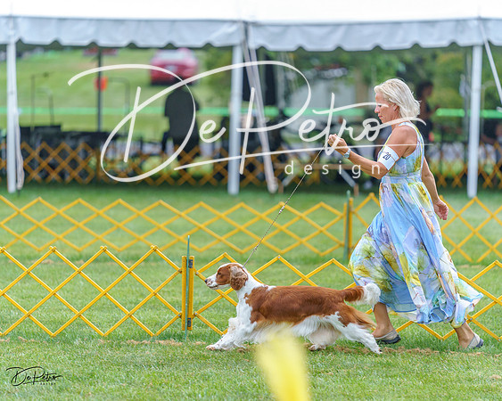 20230908-DSC06692