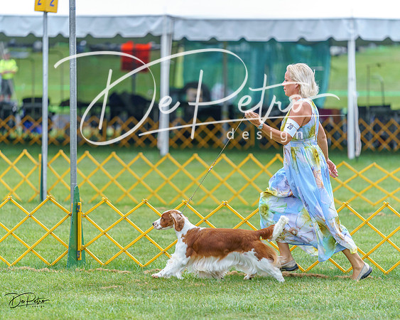 20230908-DSC06699