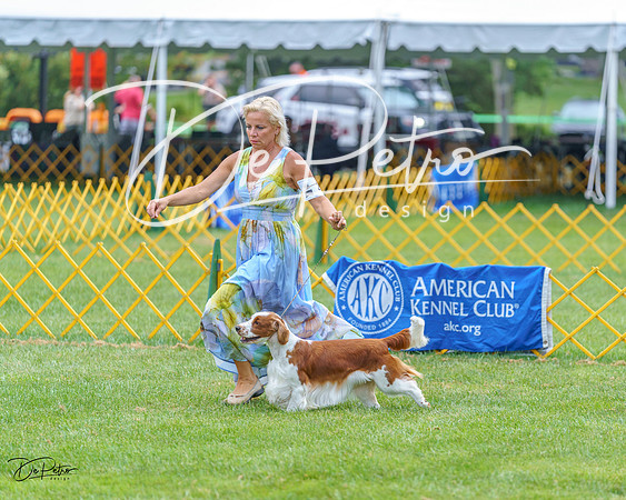 20230908-DSC06788
