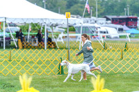 20230908-DSC06194