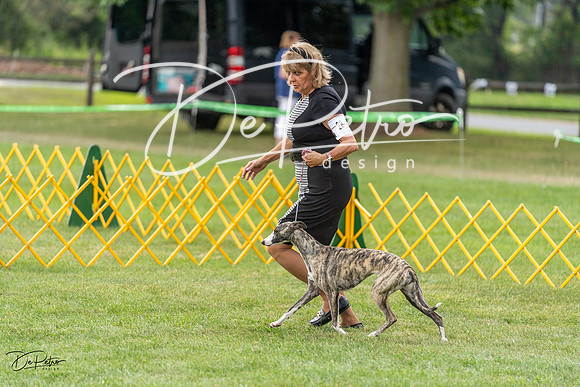 20230908-DSC05521