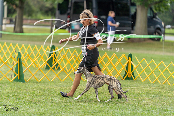 20230908-DSC05523