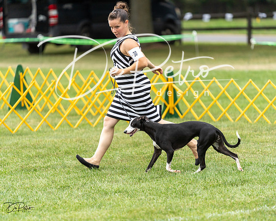 20230908-DSC05614