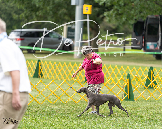 20230908-DSC05655