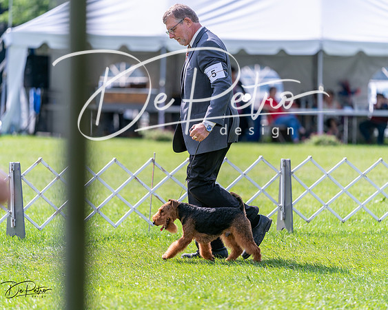 20240630-DSC03760