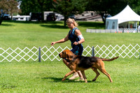 20240630-DSC01929