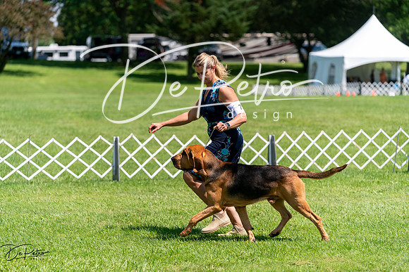20240630-DSC01929