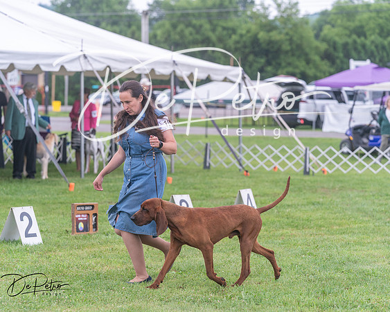 20250626-DSC04394