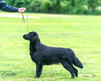 20250627-DSC06885
