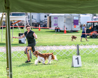 20240815-DSC07838
