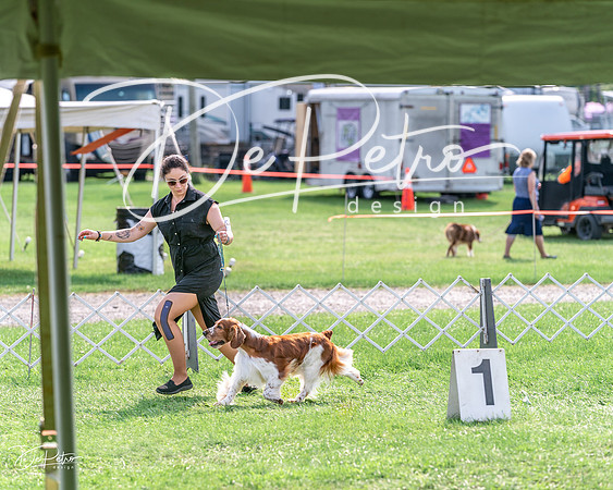 20240815-DSC07838